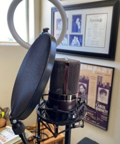 Nady MPF-6 6-Inch Clamp On Microphone Pop Filter with Flexible Gooseneck and Metal Stabilizing Arm Pop Filter with Stablizing Arm 29 615YQA34f7L