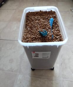 Purina Cat Chow Gentle Dry Cat Food, Sensitive Stomach + Skin - 13 lb. Bag 13.00 Pound (Pack of 1) 37 615bJLALuL