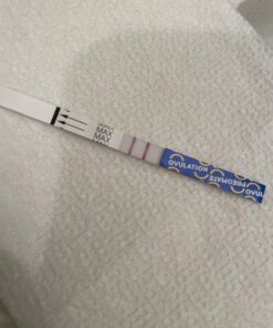 Pregmate 50 Ovulation and 20 Pregnancy Test Strips Predictor Kit 43 615lU1FgfPL