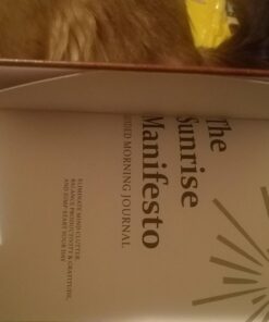 SaltWrap Sunrise Manifesto: Daily Morning Guided Journal for Gratitude, Mindfulness, Wellness, Self Care for Women & Men – 5 Minute Reflection Journal 45 615mXrgqxlL 1