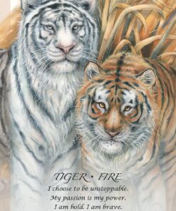 Spirit of the Animals Oracle 50 615oUXWkdgL