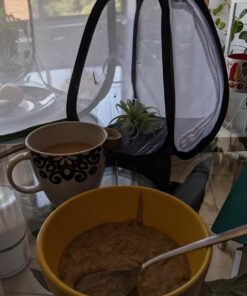 RESTCLOUD Mini Butterfly Habitat, Insect Mesh Cage, Bug Terrarium Pop Up 7.5" x 11" Tall 7.5" x 11" 28 615s133QdhL