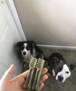 GREENIES Original Regular Natural Dog Dental Care Chews Oral Health Dog Treats, 27 oz. Pack (27 Treats) 27 Count (Pack of 1) 43 615xr9lo7LL