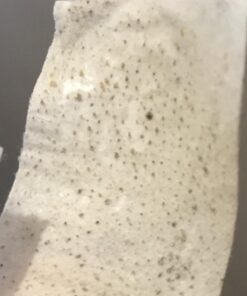 Zen Charcoal Hardwood Activated Charcoal Powder, 100% USA Trees, 8 oz 8 Ounce (Pack of 1) 27 6165SOjGNL