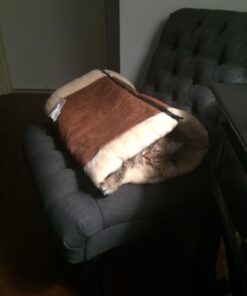 Kitty Shack - 2 in 1 Tube Cat Mat and Bed, Pet Accessories 49 6169aGQZ6uL