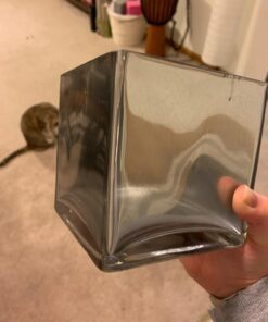 Krylon Looking Glass Silver-Like Aerosol Spray Paint 6 Oz. 41 616D4DNoJCL