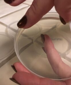 Scientific Explorer Disgusting Science Kit 36 616GdN4HTsL