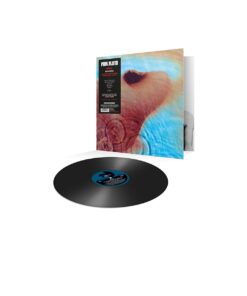 Alternative view of Meddle Audio CD, Audiobook, CD