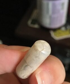 Prenatal Multivitamin for Women from Whole Foods with Biotin, Iron & Folate not Folic Acid, Probiotics for Immune Support - Vitamin Code Raw by Garden of Life - Pregnancy Must Haves - 180 capsules 180 Count (Pack of 1) 37 616ZWs lvCL