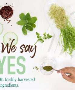 Garden of Life Raw Organic Perfect Food Green Superfood Juiced Greens Powder - Chocolate, 60 Servings, Non-GMO, Gluten Free, Vegan Whole Food Dietary Supplement, Plus Probiotics, Enzymes 60 Servings (Pack of 1) 20 616awoNYh3L