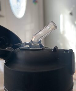 Thermos Replacement Straws for 12 Ounce Funtainer Bottle, Clear, 1 Pack 44 616gStpln0L