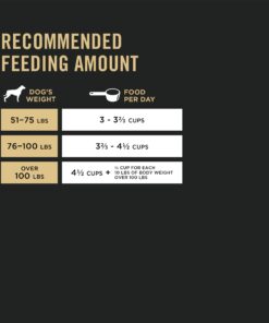 Purina Pro Plan High Protein, Digestive Health Large Breed Dry Dog Food, Chicken and Rice Formula - 34 Lb. Bag Chicken & Rice 34.00 Pound (Pack of 1) 33 616rGMGwq3L