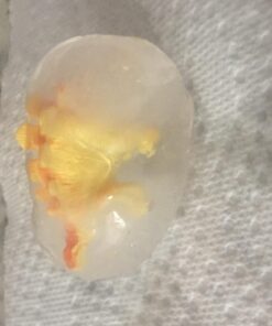 Big Mo's Toys 75 Piece Party Pack Mini Dinosaurs - Plastic Mini Educational Dinosaur Animal Toys - Fun Gift Party Favors 13 616vg4U6uZL