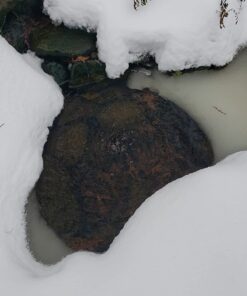 Aquascape 75000 Pond Air 2 (Double Outlet Aeration Kit) 2-Outlet 58 616y3GhNzL