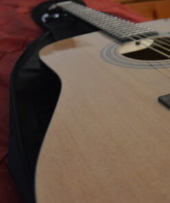 Fender FA-125 Acoustic Guitar - Natural Bundle with Gig Bag, Tuner, Strings, Strap, Picks, Austin Bazaar Instructional DVD, and Polishing Cloth Bundle w/ Gig Bag 47 6172JBnF3sL