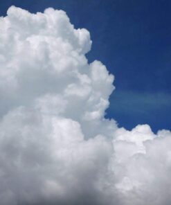 Nikon COOLPIX L840 Digital Camera with 38x Optical Zoom and Built-In Wi-Fi (Red) Red Base 58 6175U4WzgUL