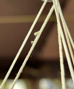 Woodstock Wind Chimes Amazing Grace Chime Medium (24'') Silver Wind Chime Inspirational and Memorial Gifts Wind Chimes for Outside Patio Home or Garden Decor (AGMS) 25 6177du6p0nL