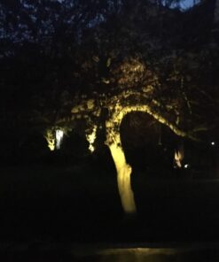 URPOWER Solar Lights Outdoor, Adjustable Solar Spot Lights Outdoor, 2-in-1 Waterproof Solar Landscape Spotlights Wall Light, Dusk-to-Dawn Solar Powered Outdoor Light for Garden, Yard (2 Pack Warm) 2 Pack Warm White 54 6178r ilzjL