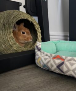 Oxbow Animal Health Timothy Hay Bungalow - Large Large (Pack of 1) 23 617BDQm2S2L