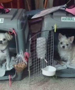 Petmate Sky Kennel, 28 Inch, IATA Compliant Dog Crate for Pets 15-30lbs, Made in USA 28 inch (Pack of 1) Kennel Only 40 617COCM7rwL