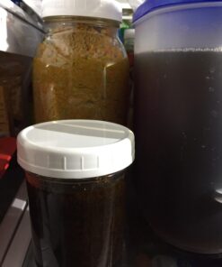 Cornucopia Wide Mouth Plastic Mason Jar Lids (24-Pack Bundle); 2 Dozen Unlined White Ribbed Lids, 86-450 Size 24 Lid Basic Set w/ Lids Only 30 617TbI gFL