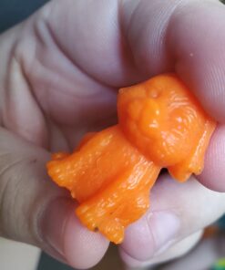 50 Counting Bears with 5 Cups 44 617UvfULFEL