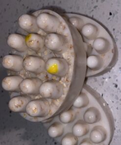 Our Earth's Secrets Goats Milk - 2 Lbs Melt and Pour Soap Base Unscented 2 Pound (Pack of 1) 42 617Vuti7wWL