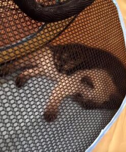 Necoichi Portable Stress Free Cage Carrier and Litter Box, Indoor & Outdoor, Travel (Beige, Carrier) Beige 32 617WkHGpdQL 1