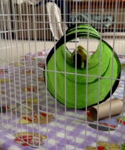 Petmate Jackson Galaxy Cat Crawl Solid Tunnel, Green/Orange 44 617aUvXTkL