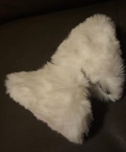 Hot Sweet Lovely Anime Lolita Cosplay Fancy Neko Cat Ears Hair Clip White with Pink Inside 23 617dkNA5fhL