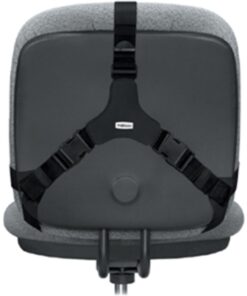 Fellowes Professional Series Back Support, Black (8037601) 22 617fMc59BEL