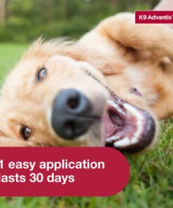 Bayer Animal Health Advantage II Large Dog 4-Pack 12 617lepnXHwL