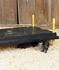 Premier Chick Brooder Heating Plate - 16" x 24" 21 617pDvoSclL