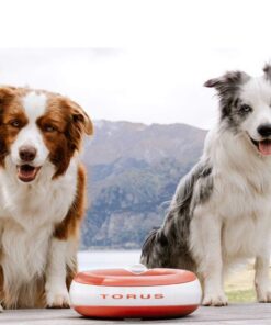 Torus Pet Maxi Filtered Water Bowl (Red) - 2-Liter - Travel - Home - Auto-Fill - Powerless Portable Dispenser – Food Grade – Antimicrobial - BPA-Free - Dog – Cat – No Spill - No Splash Red 22 617pykFqwL