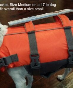 Outward Hound Granby Splash Orange Dog Life Jacket, Small Granby (Flotation) Small (Chest Girth: 16"-20") 47 617w8ZCVBXL