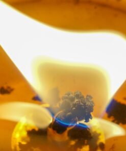 Meike MK-S-AF3B Auto Focus Extension Tube 10mm 16mm For Sony A7 A7M2 NEX 3 NEX 5 NEX 6 A6600 A5000 A6000 A6100 A6300 A6400 A6500 A9 50 617xsXP2TcL