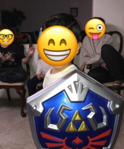 Disguise Link Shield Costume 31 6184AP88EL