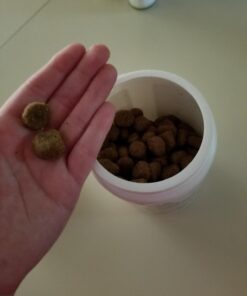 Advanced Hip & Joint Supplement for Dogs, 225 Soft Chews, All Natural Glucosamine, Chondroitin, MSM & CoQ10 For Healthy Hips & Joints, Made in the USA Chicken - 225 Count 36 6189GQL 0sL 3