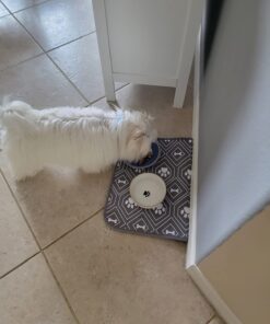 Wellness CORE Natural Grain Free Dry Dog Food, Puppy, 4-Pound Bag 23 618EO0kJI7L