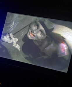 Alternative view of MirrorMask DVD 
                             
                            February 14, 2006