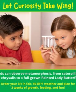 Alternative view of Painted Lady Butterfly Kit - Habitat, STEM Journal, & Voucher for Chrysalis Log & Caterpillars - Grow Your Own Butterfly Kit