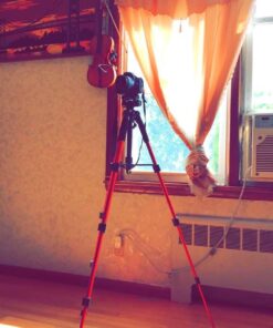 55" Tripod Q111 Travel Camera Tripod with 3-Way Pan Head and Phone Holder Mount for Gopro,Projector,Smartphones Webcam,Spotting Scopesto Live Broadcast and DSLR EOS Canon Nikon Sony Samsung(Red) 55" Red 33 618PZszPmHL