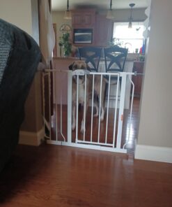 Regalo Easy Step 38.5-Inch Wide Walk Thru Baby Gate, Includes 6-Inch Extension Kit, Pressure Mount Kit, Wall Cups 38.5" Wide 30 618Tz4dLILL