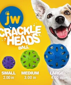 JW Pet Crackle Heads Crackle Ball, Small 22 618cX3cN6hL