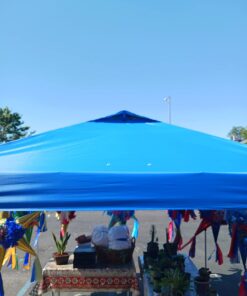 Crown Shades 10x10 Pop up Canopy Outside Canopy, Patented One Push Tent Canopy with Wheeled Carry Bag, Bonus 8 Stakes and 4 Ropes, Blue 71 618g73c68lL