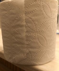 Pacific Blue Basic 2-Ply Embossed Toilet Paper (previously branded Envision); 19880/01; 550 Sheets Per Roll; 80 Rolls Per Case 44000 sheet (Pack of 1) Pacific Blue Basic (previously Envision) 33 618i0yrhjNL