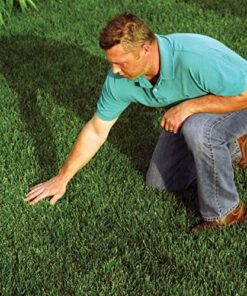 EZ Straw Seeding Mulch with Tack - Biodegradable Organic Processed Straw – 2.5 CU FT Bale (Covers up to 500 sq. ft.), Multi 30 618v0 8acVL