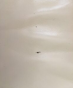 Angelus Cream Acrylic Leather Paint 18 618v7W1LpPL