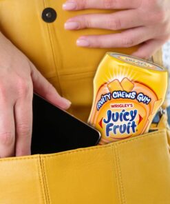 Juicy Fruit Gum (4 Pack) Original Bubble Gum Chewing Gum Bulk Pack, 40 piece Bottle 40 Count (Pack of 4) 10 6197AbY0qrL