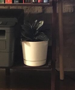 Novelty Majestic Full Depth Round Cylinder Pot, Glossy White, 6-Inch (10062) 36 6199OjJcnWL